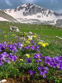 Parco Nazionale Abruzzo AGHD srl 